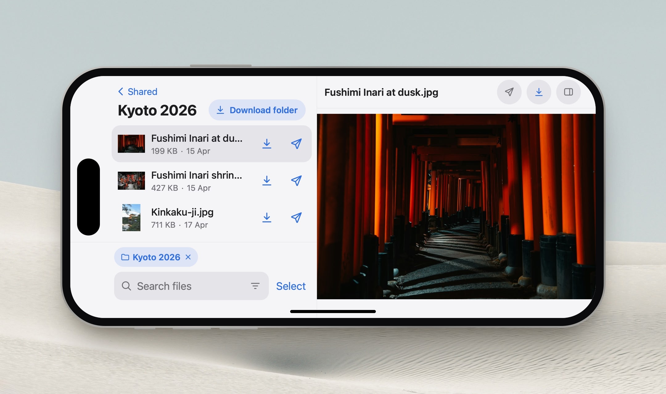 file server preview on an iPhone in landscape