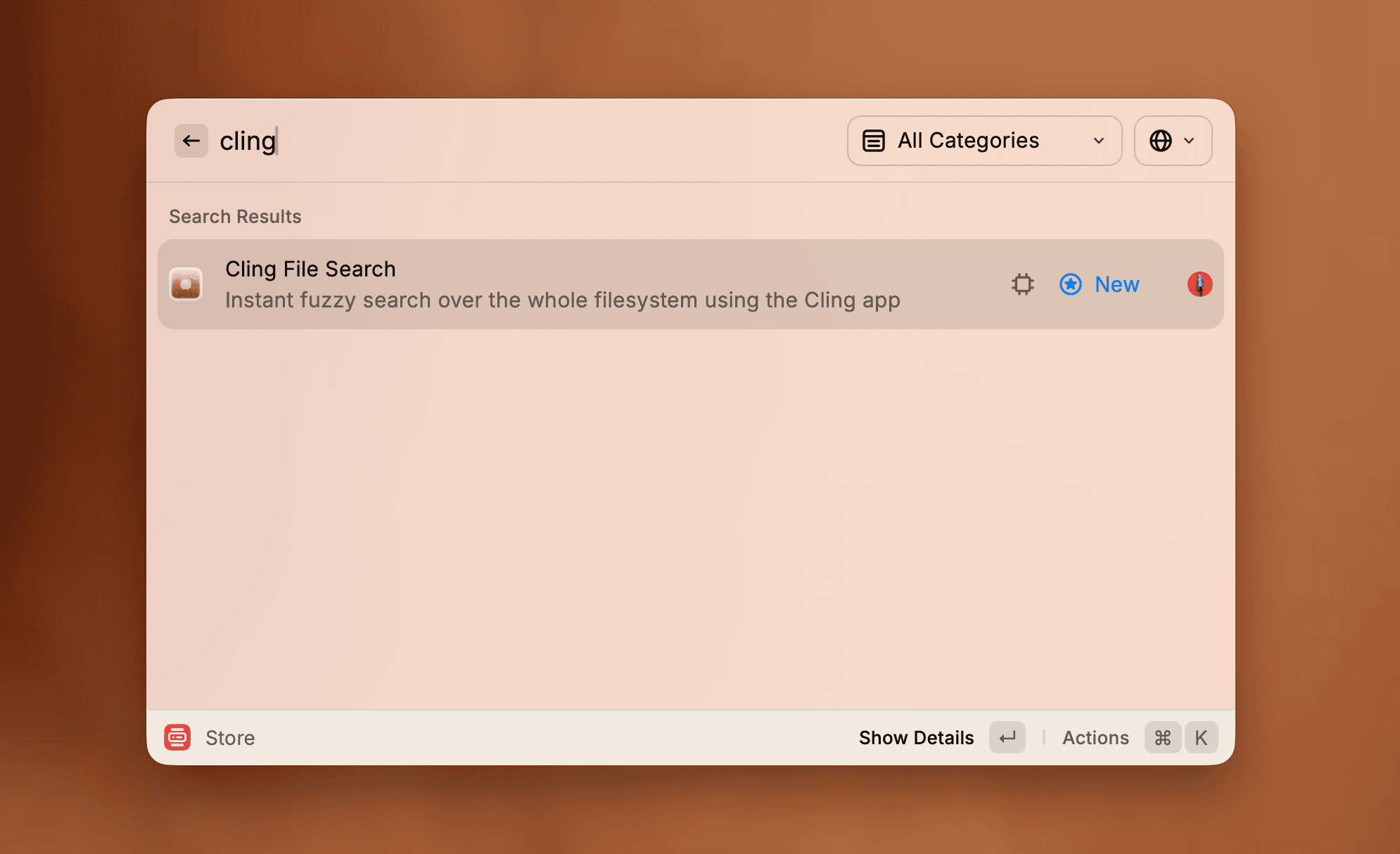 raycast extension