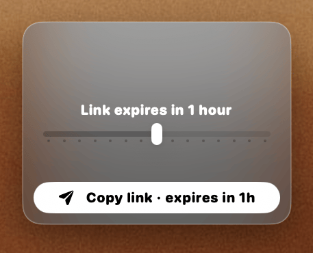 Send securely link expire